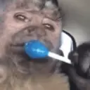 สติกเกอร์