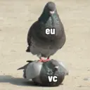 Стикер