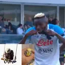 Çıkartma