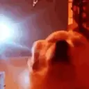 ملصق