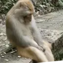 استیکر