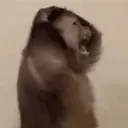 Çıkartma