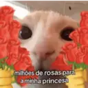 ملصق