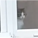 Çıkartma