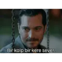 اسٹیکر