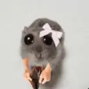 Figurinha