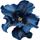 Nhãn dán