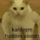 מדבקה