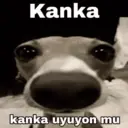 מדבקה