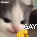 מדבקה
