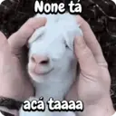 Çıkartma