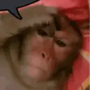 اسٹیکر