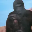 اسٹیکر
