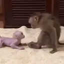 اسٹیکر