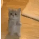 Çıkartma