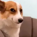 Figurinha