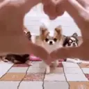 Figurinha