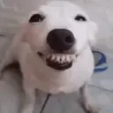 Figurinha