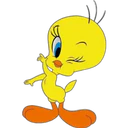 Stika