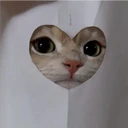 Կպչուն պիտակ