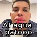 Samolepka