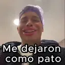 Samolepka