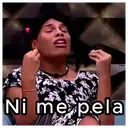 Samolepka