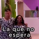 Samolepka