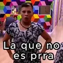 Samolepka