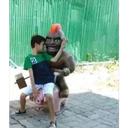贴纸