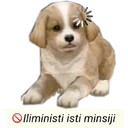 Límmiði