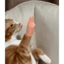 Çıkartma