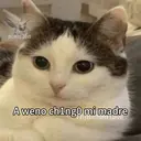 Çıkartma