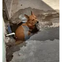 Çıkartma