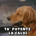 Çıkartma