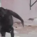স্টিকার