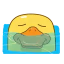 Stiker