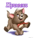 Стикер