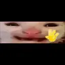 स्टिकर
