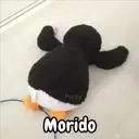 استیکر