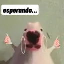 ملصق