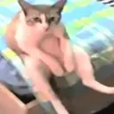 ملصق