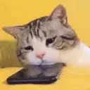 ملصق