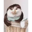 Figurinha