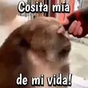 Autocolant