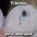 Figurinha