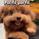 Figurinha