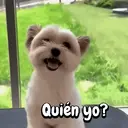 Figurinha
