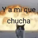 Stika