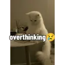 ملصق